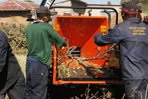 Tree Chipping